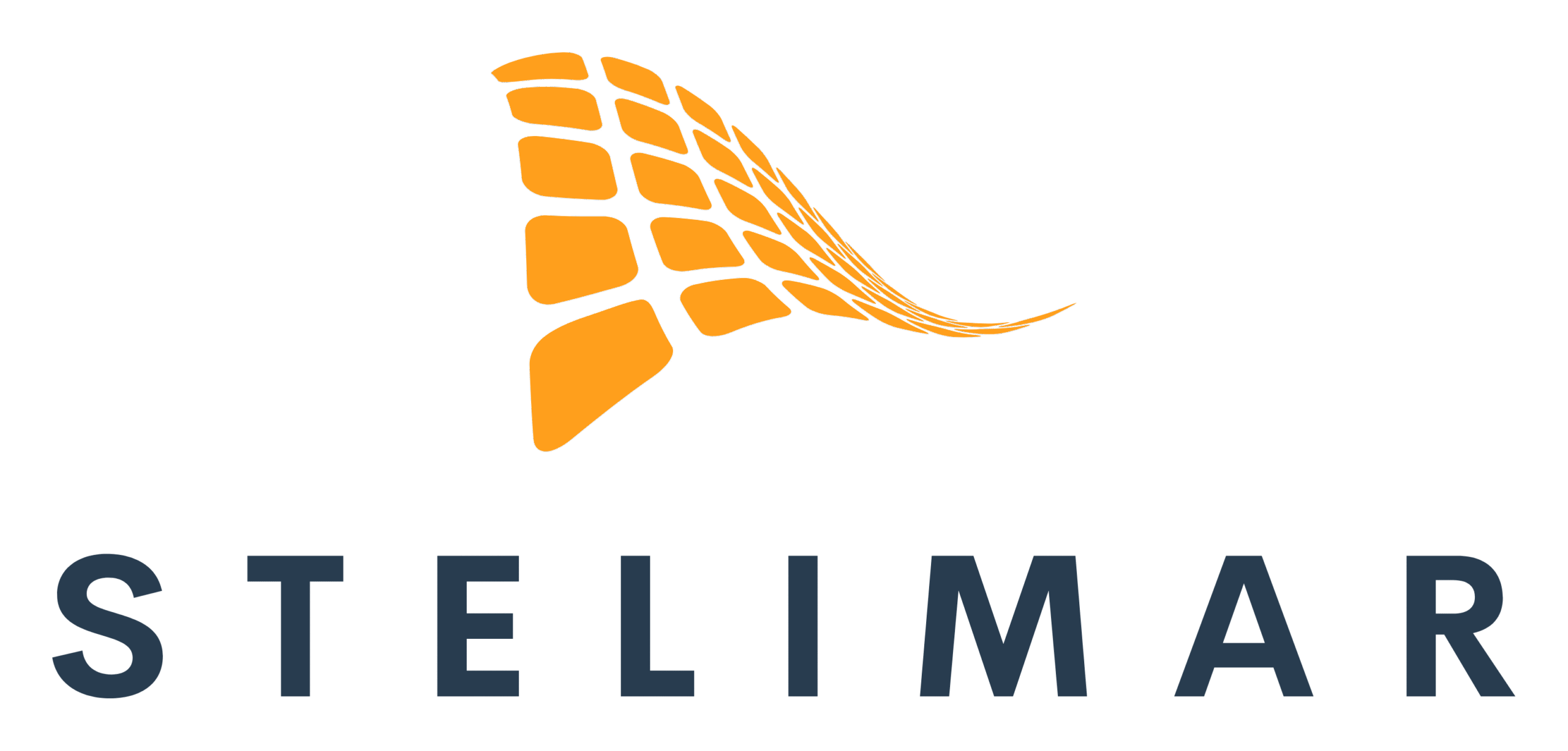 Stelimar-Label-Experts-Logo